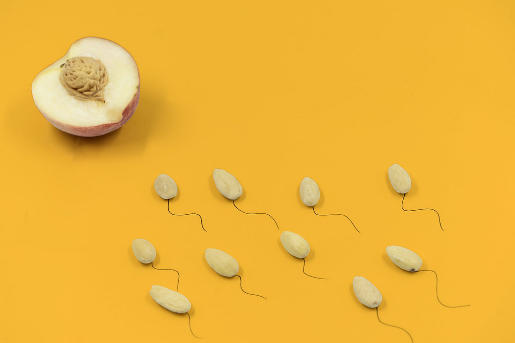 sperm trying to reach egg imitated by fruit